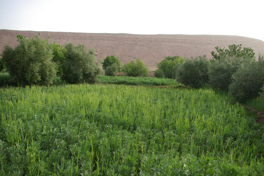 Maison d'Hôtes Nouflla Ait Benhaddou Exterior foto